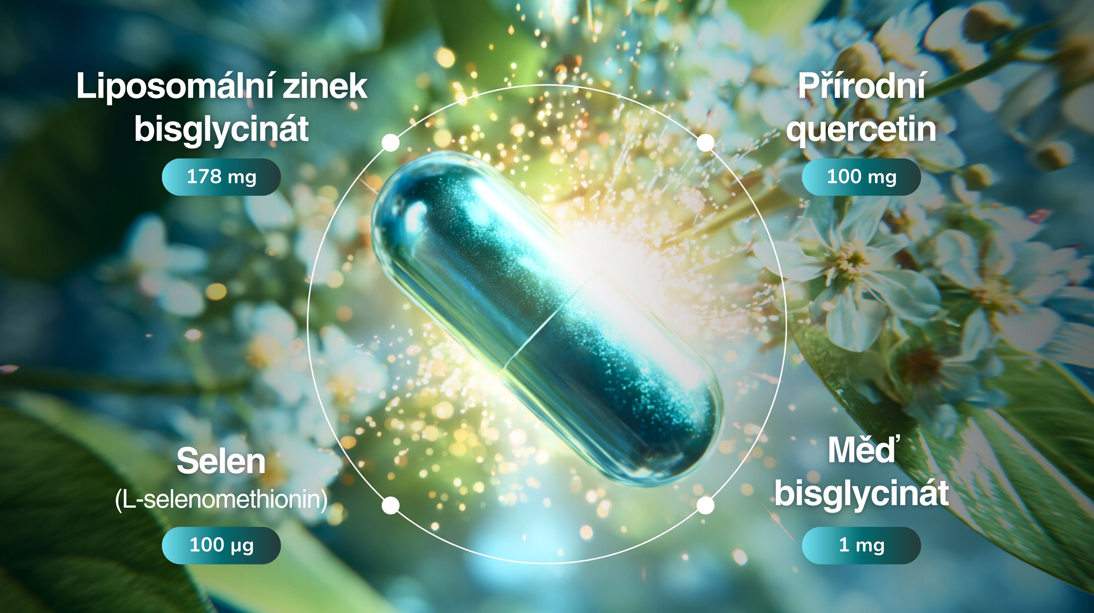 PREMIUM Liposomální Komplex Zinek bisglycinát 178 mg, selen, měď, přírodní quercetin, 60 kapslí -6